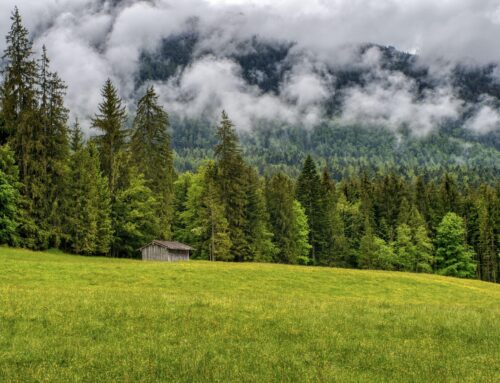 Gezinswandeling Oberwinter