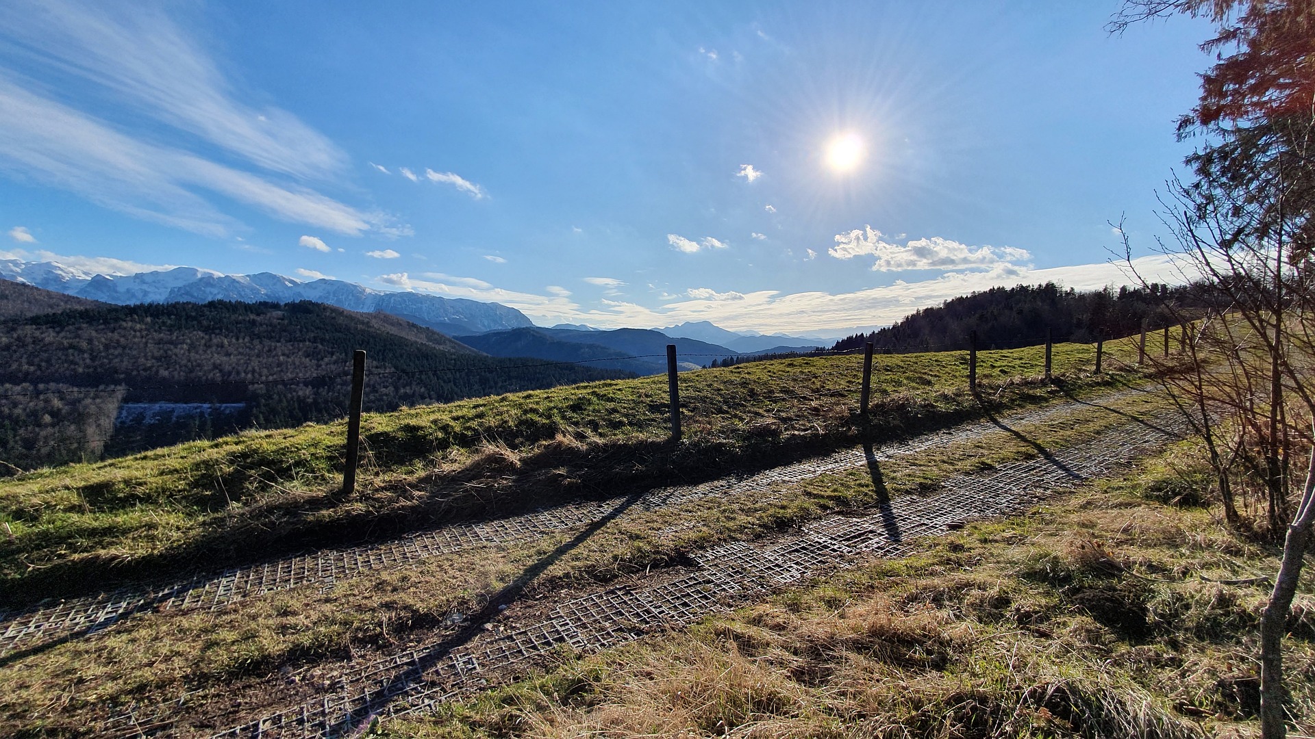 Rotweinwanderweg im Ahrtal – Panoramawanderung für Gäste der Ferienwohnung Oberwinter, Weinberge, Natur und Genuss zwischen Dernau, Ahrweiler und Altenahr