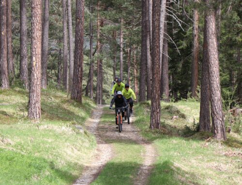 MTB Siebengebirge