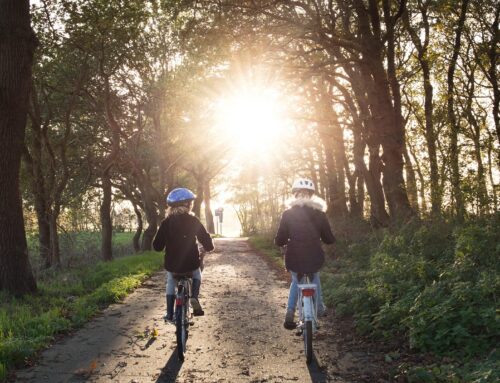 Familien Radtour am Rhein