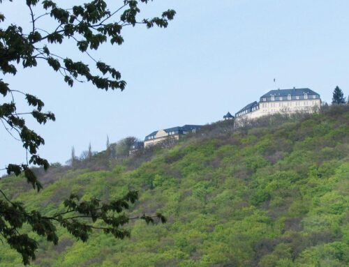 Weinprobe Petersberg