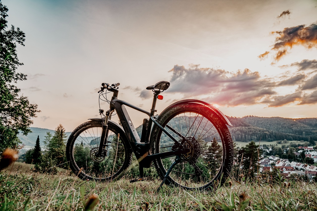 E-Bike Tour Oberwinter – Aktivurlaub am Rhein, Fahrradausflüge ab der Ferienwohnung Oberwinter, Radtour Remagen Bonn Rheinradweg