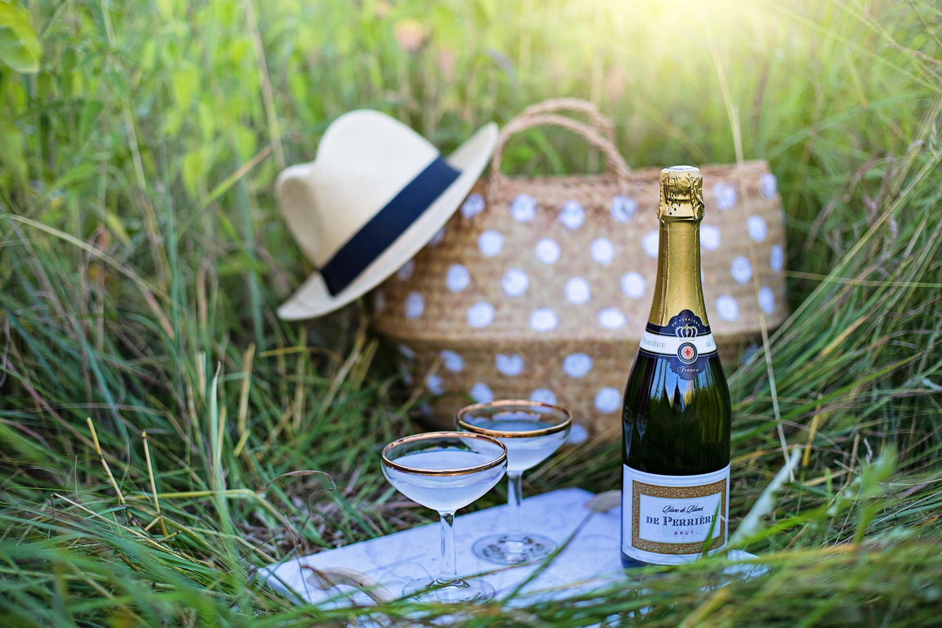 Picknick Ahrtal Weinberge, Das Bild zeigt eine idyllische Picknickszene inmitten der malerischen Weinberge des Ahrtals.