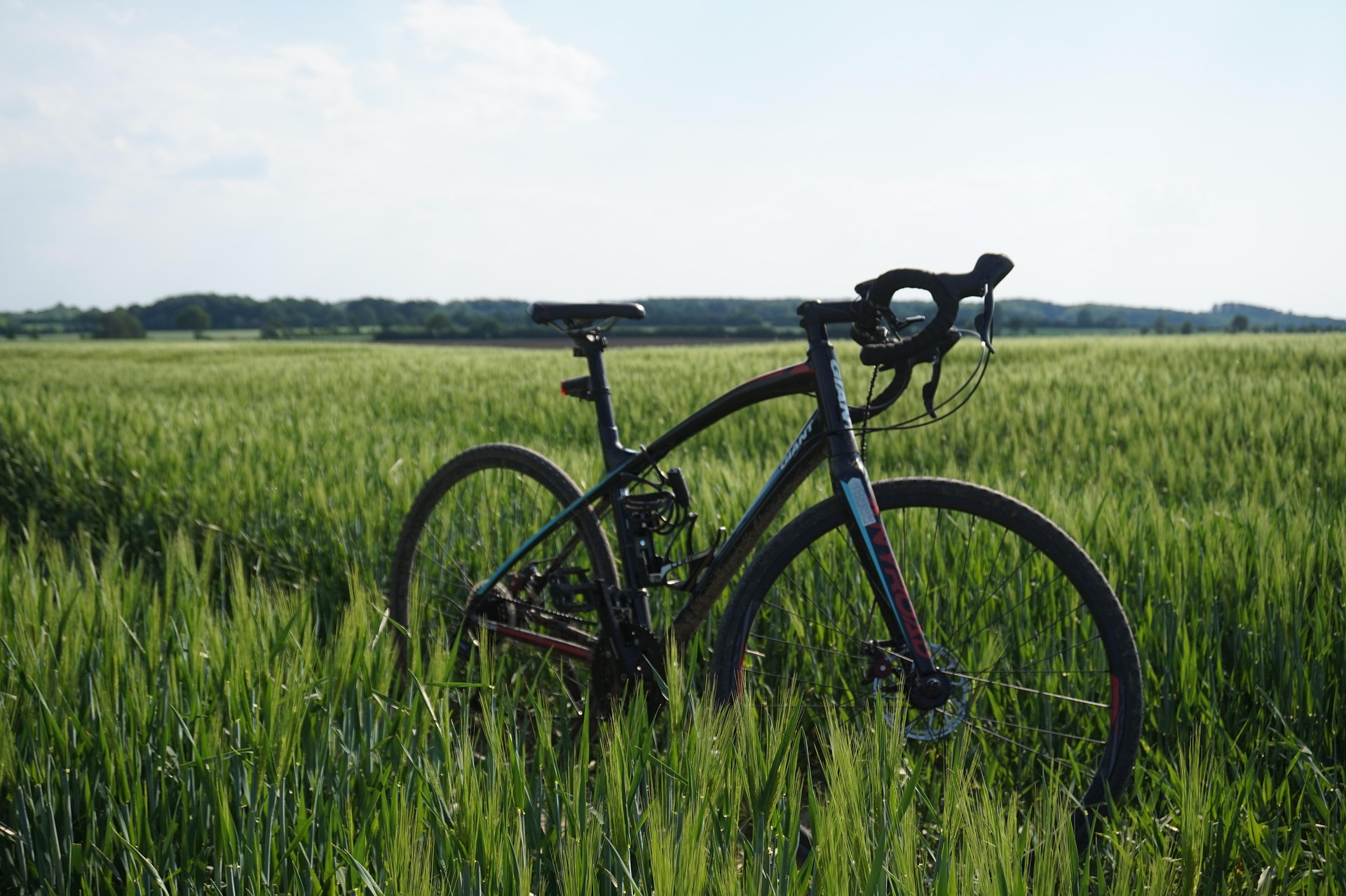 Gravelbike Siebengebirge